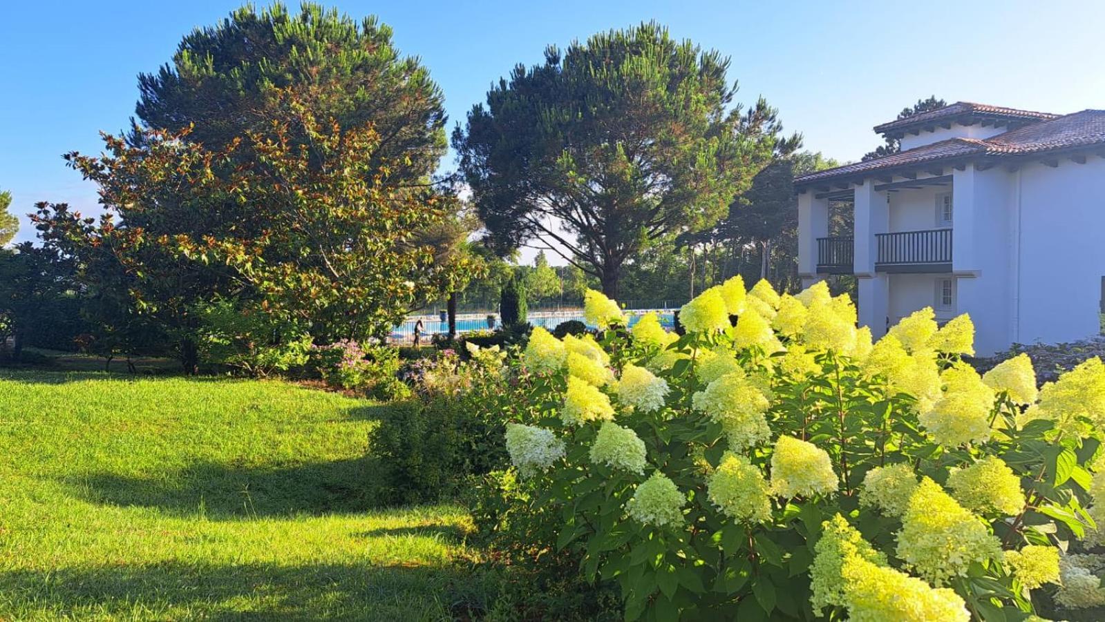 Atlantic Selection - Domaine De Bordaberry - Terrasse & Superbe Piscine Apartment Юрюня Екстериор снимка